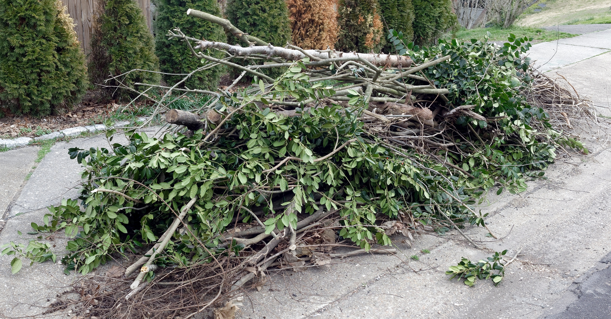 Photo inspiration: Picture Idea: Green Waste Removal Brisbane
