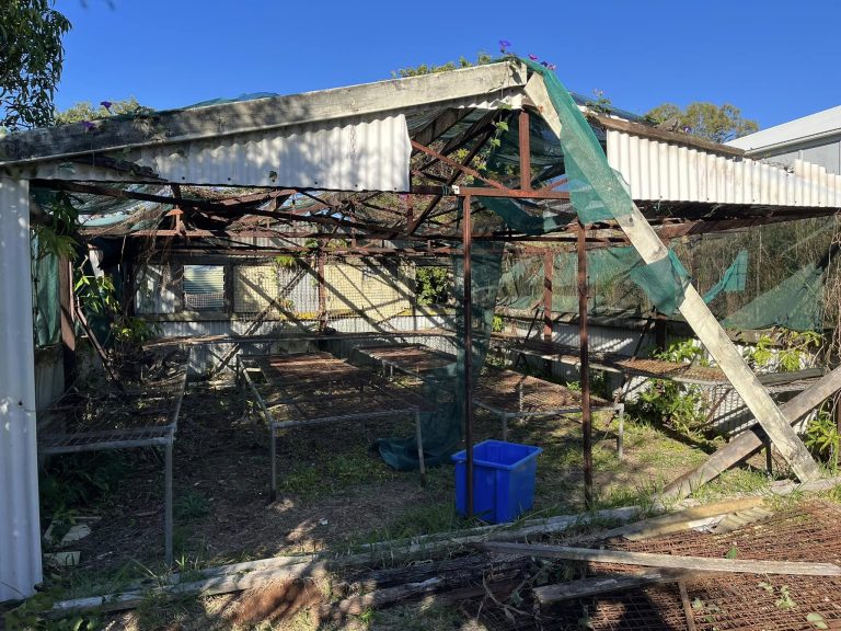 cost to get rid of asbestos brisbane