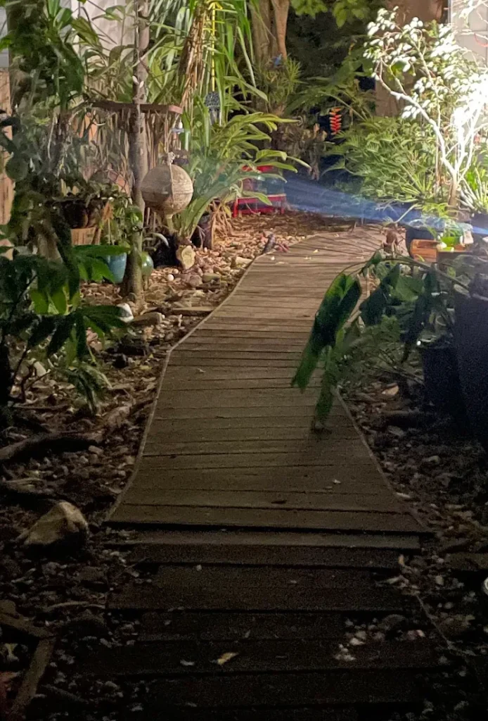 Backyard Cleanup Brisbane