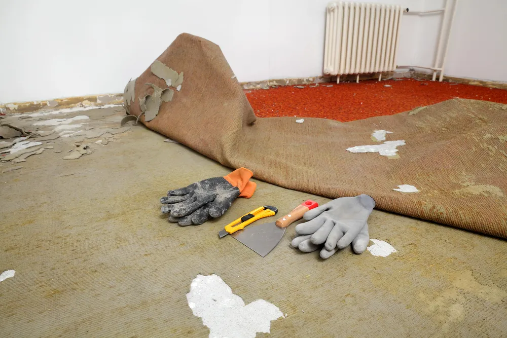 Brisbane’s Carpet Disposal and Recycling Service